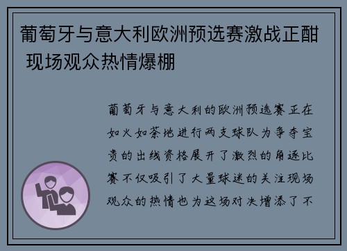 葡萄牙与意大利欧洲预选赛激战正酣 现场观众热情爆棚